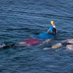 Comment bien choisir son masque pour le snorkeling ?